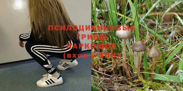 винт Алексеевка