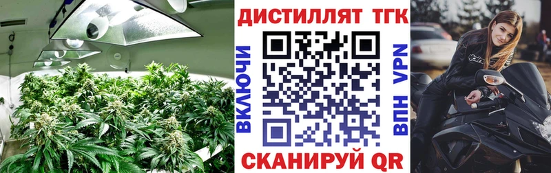 Купить где  Таруса  Дистиллят ТГК жижа 