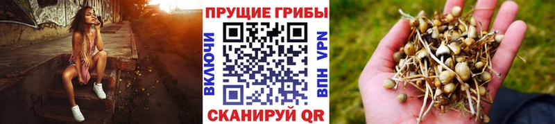 Купить закладки Таруса Галлюциногенные грибы ЛСД